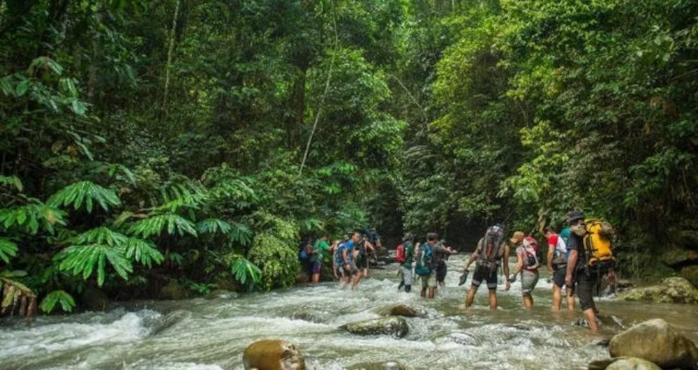 Jungle-trekking-malaysia